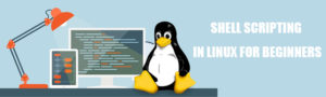 Shell Befehle Linux